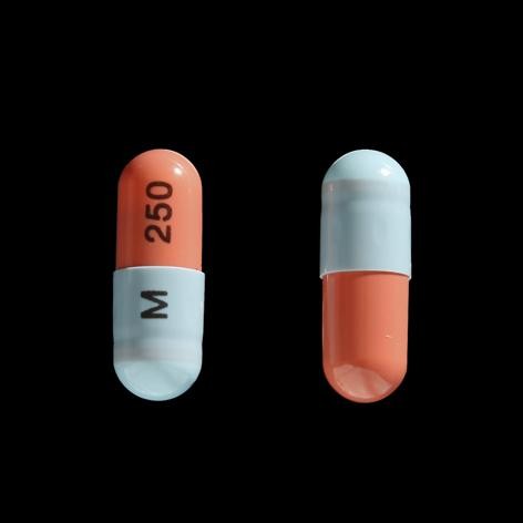 Tafla 250 mg Hylki